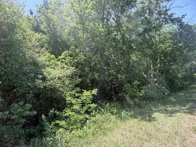 Land for sale in Chatham, North Carolina