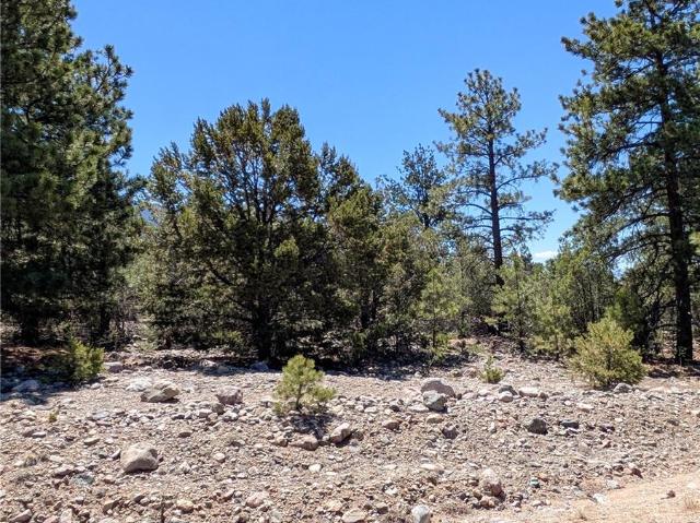 Land for sale in Crestone, Saguache County
