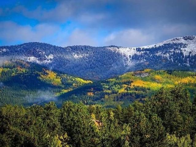 House for sale in Bailey, Colorado