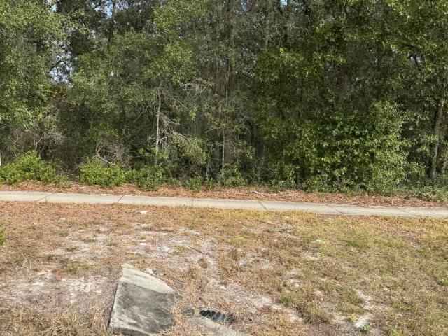Property for sale in Pomona Park, Florida