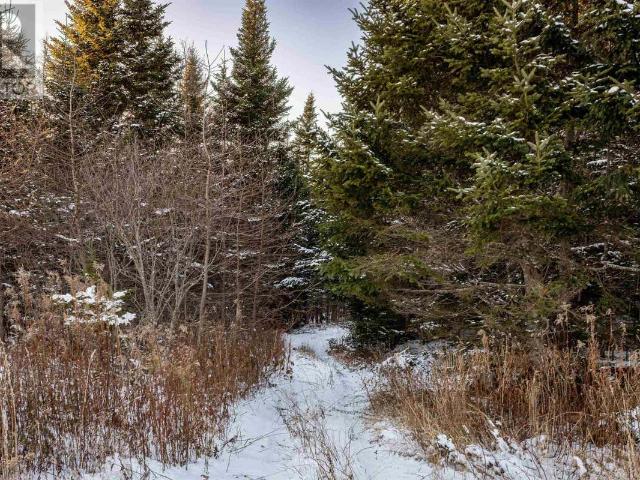 Land for sale in Sonora, Nova Scotia