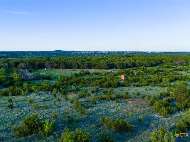 Farm for sale in Lometa, Texas