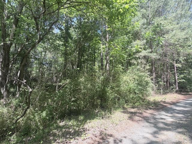 Land for sale in Chatham, North Carolina