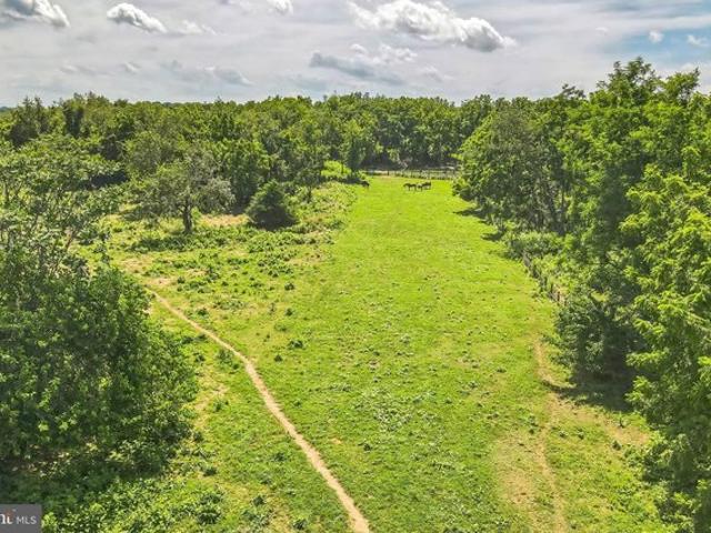 Land for sale in Virginia
