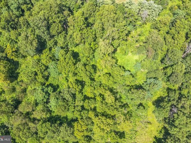 Land for sale in Virginia