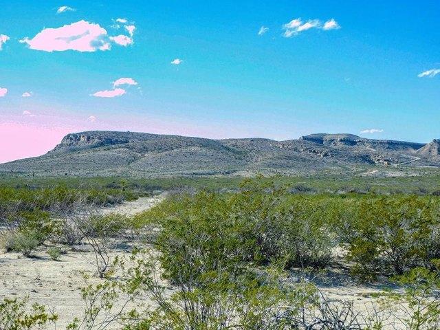 Farm for sale in Brewster, Texas