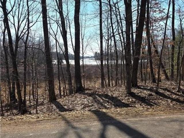 Land for sale in Turtle Lake, Wisconsin