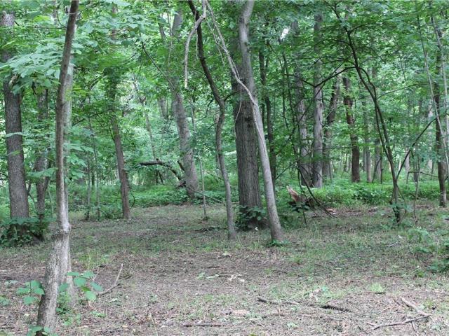 Land for sale in Bates City, Missouri