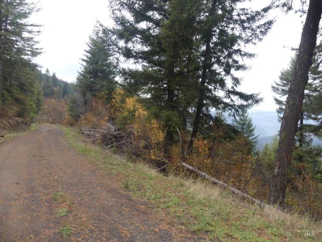 Land for sale in Orofino, Idaho