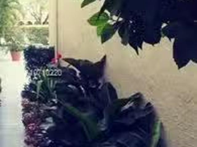 Condo for rent in North Miami Beach, Florida