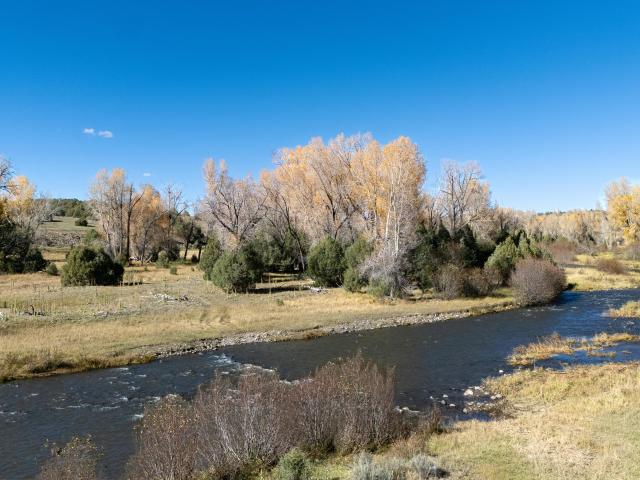 Land for sale in Los Ojos, New Mexico