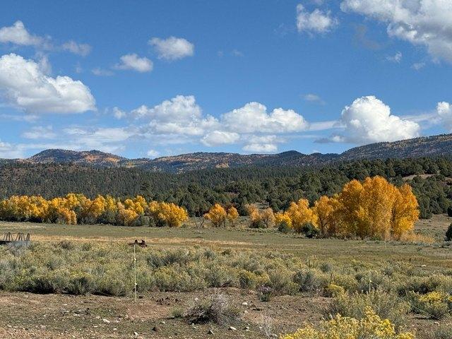 Land for sale in Chama, New Mexico