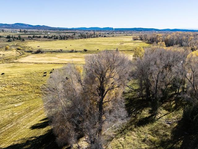 Land for sale in Los Ojos, New Mexico