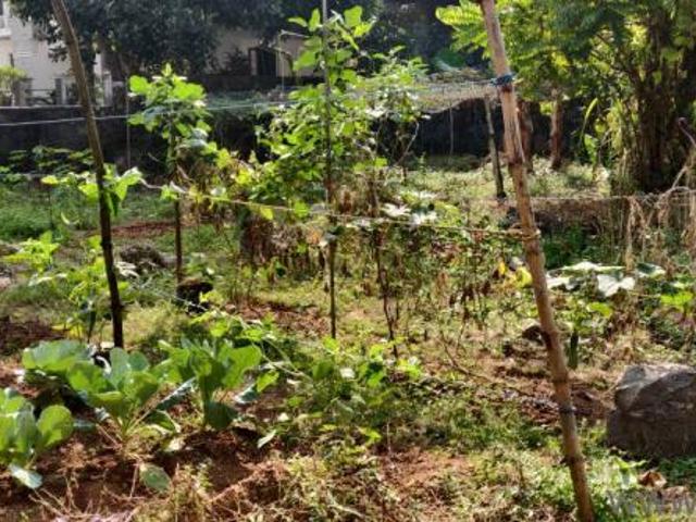 Property for sale in Kochi, Kerala