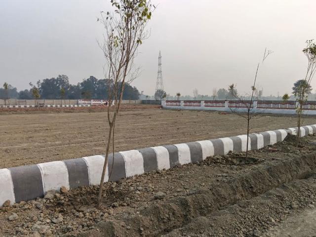 Land for sale in Lakhana, Arunachal Pradesh