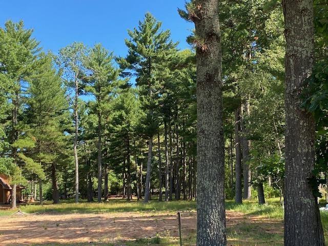 Land for sale in Nekoosa, Wisconsin