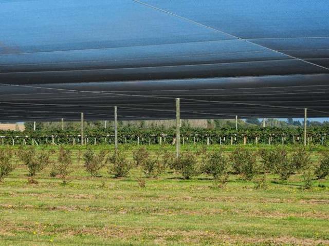 Property for sale in Makikihi, Canterbury