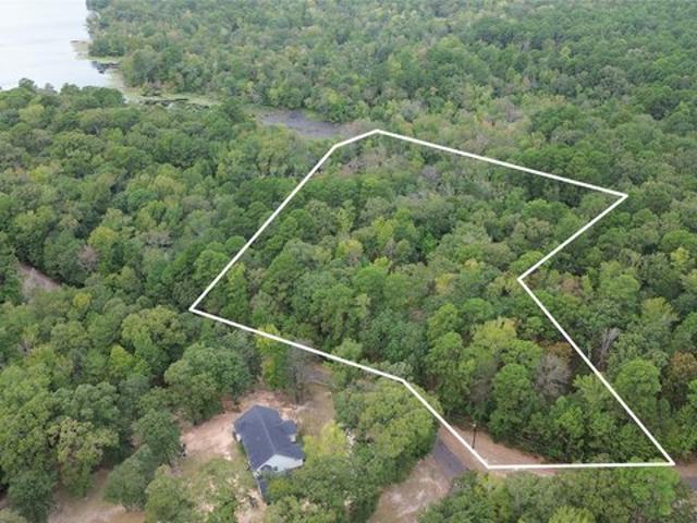 Land for sale in Avinger, Cass County
