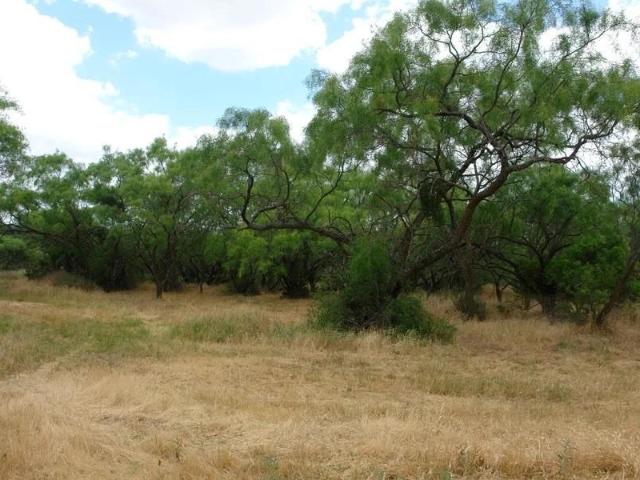Land for sale in Comanche, Texas