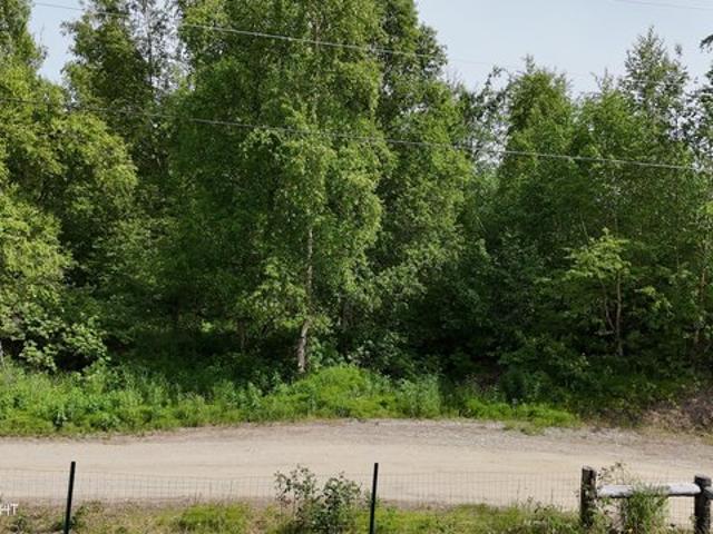 Land for sale in Wasilla