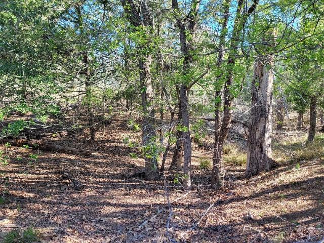 Farm for sale in Paige, Texas