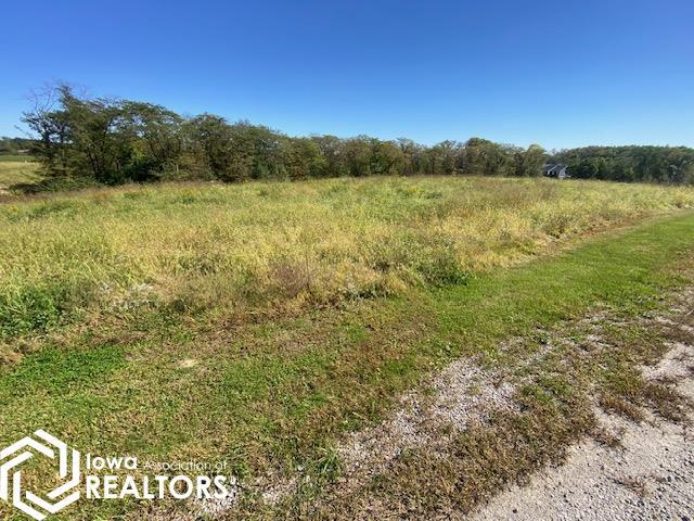 Land for sale in Mount Pleasant, Henry County