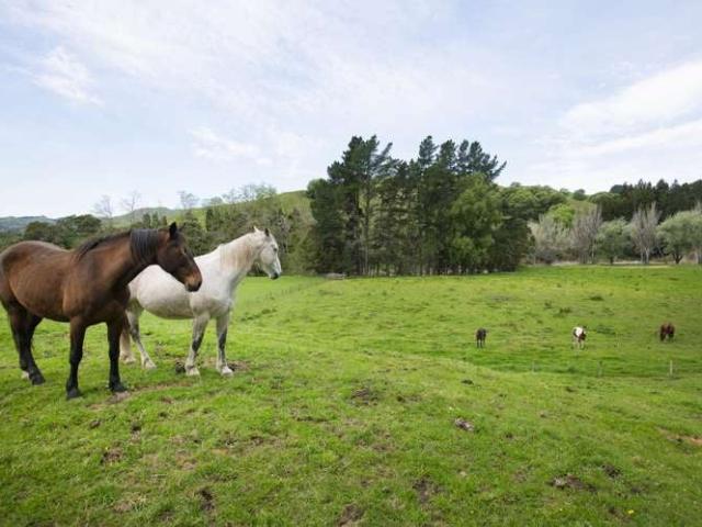 Property for sale in East Coast