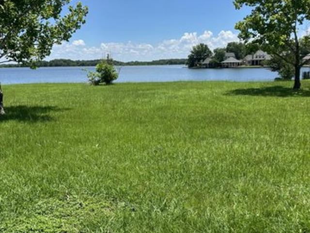 Land for sale in Madison, Mississippi