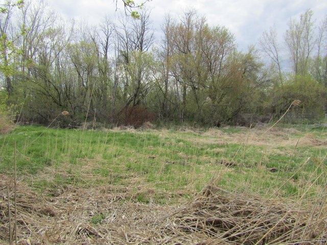 Land for sale in Alburg, Vermont