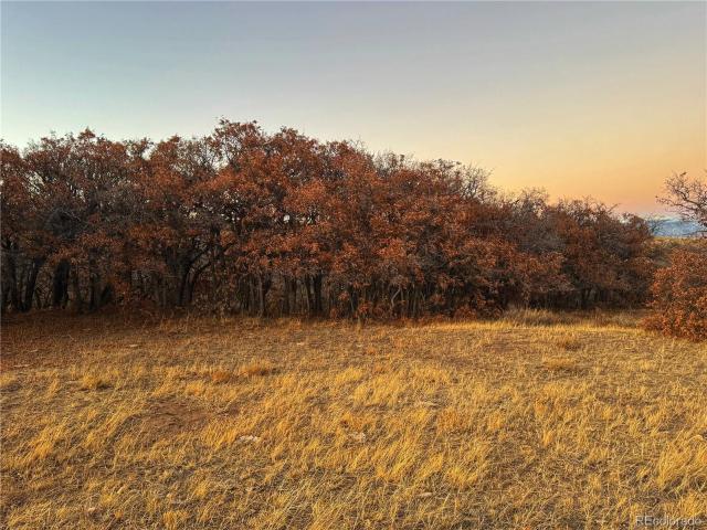 Land for sale in Gardner, Colorado