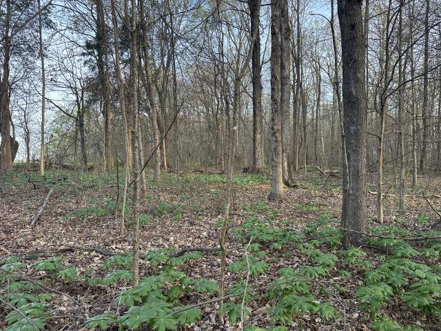 Land for sale in Tennessee