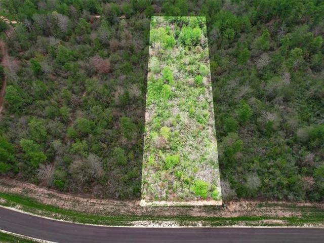 Land for sale in Walker, Texas
