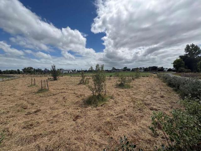 Property for sale in Bunnythorpe