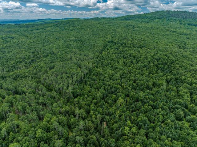 Land for sale in New Hampshire