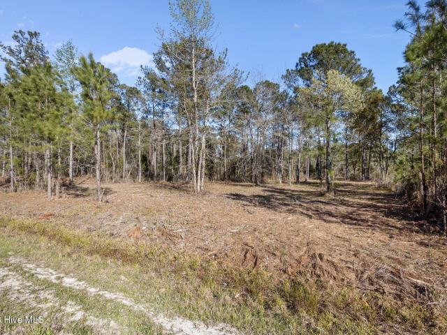 Land for sale in Vandemere, North Carolina