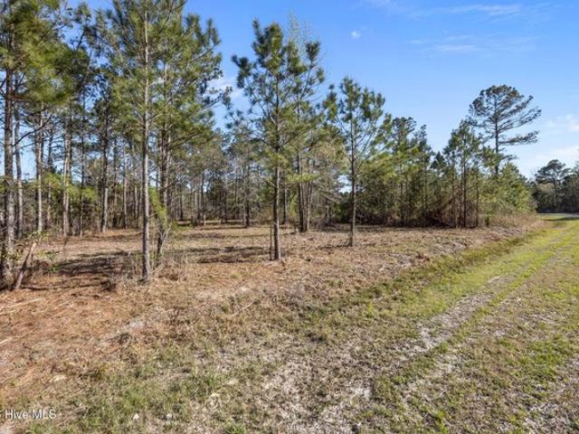 Land for sale in Vandemere, North Carolina