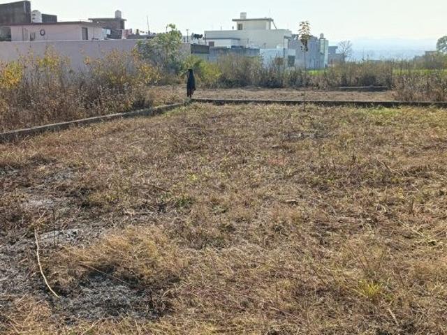 Land for sale in Kedarpur, Uttarakhand