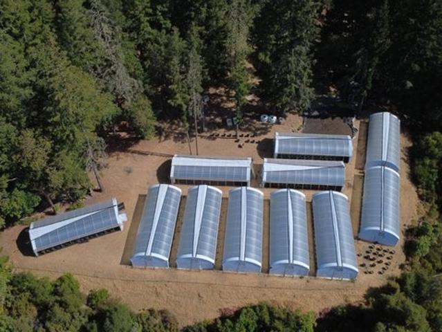 Land for sale in Willits, California