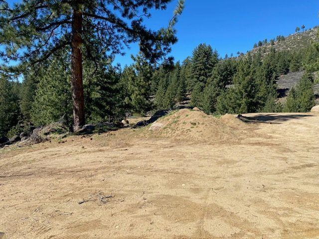 Land for sale in Portola, California