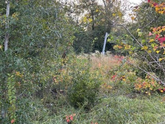 Land for sale in Blountstown, Calhoun County