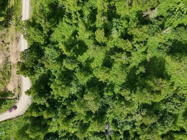 Land for sale in Wasilla