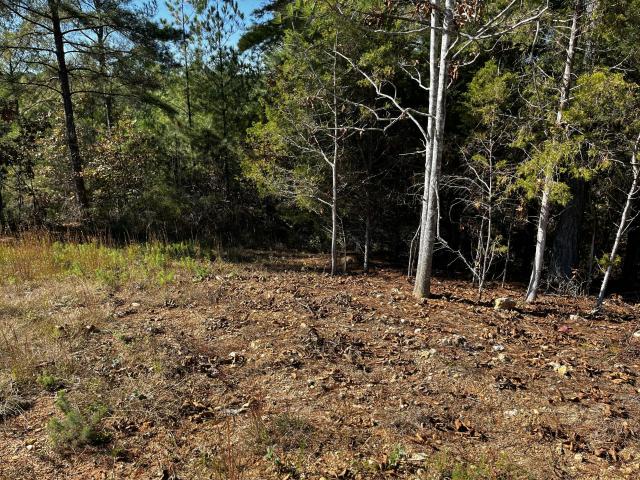 Land for sale in Tennessee