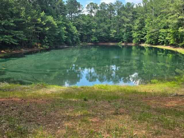 Land for sale in Spalding, Georgia