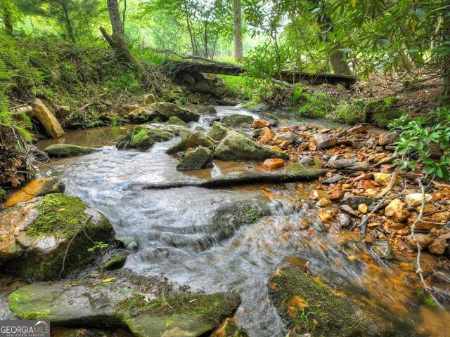 Land for sale in Ivylog, Blairsville