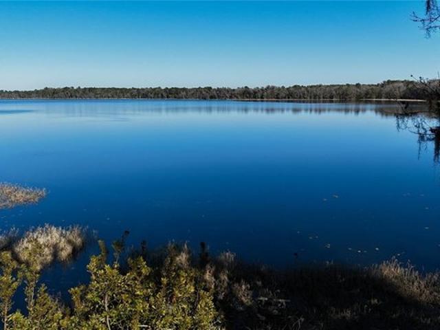 Land for sale in Waldo, Florida
