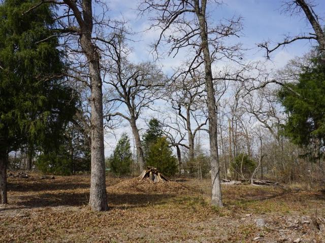 Land for sale in Henderson, Texas