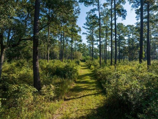 Land for sale in Ochlocknee, Thomas County