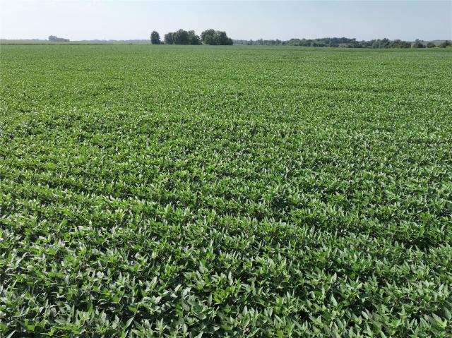 Land for sale in Donnellson, Lee County