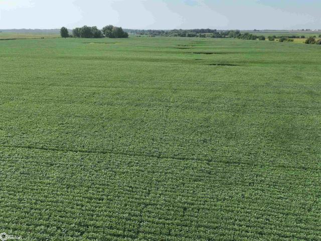Farm for sale in Donnellson, Lee County