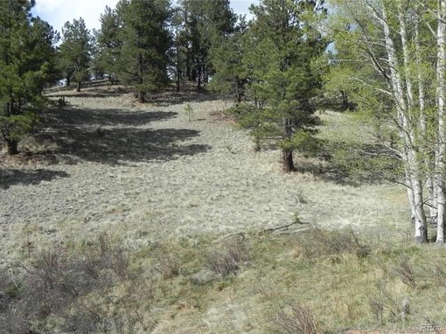 Land for sale in Teller, Colorado